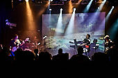 Mercy-Street_2019-03-08_facebook_Klaus-Manns_056.jpg : Mercy Street - A Tribute to Peter Gabriel, live Konzert in der Harmonie Bonn am 08.02.2019, Bild 56/70