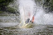 JetSki-2016_019.jpg : Jet-Ski, Mosel, 24.07.2016, Bild 19/34